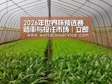 种植基地四