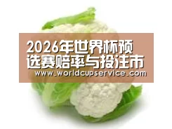 产品名称九