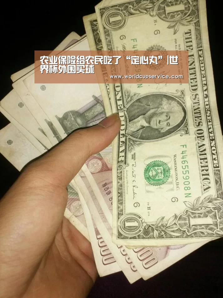 世界杯买球网站