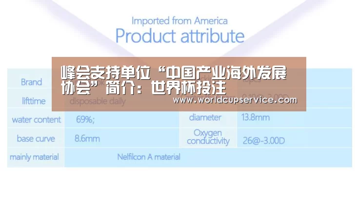 世界杯买球网站
