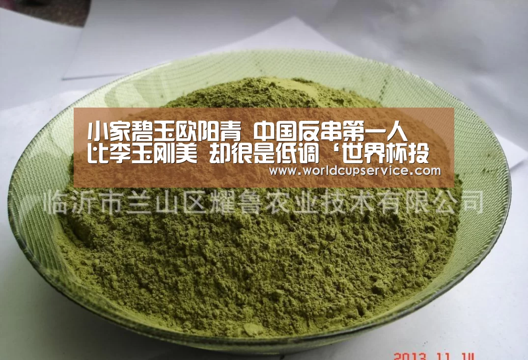 世界杯外围买球