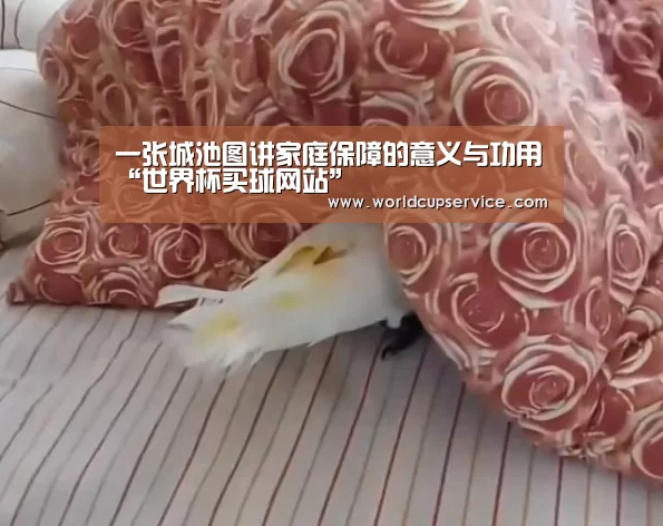世界杯买球网站