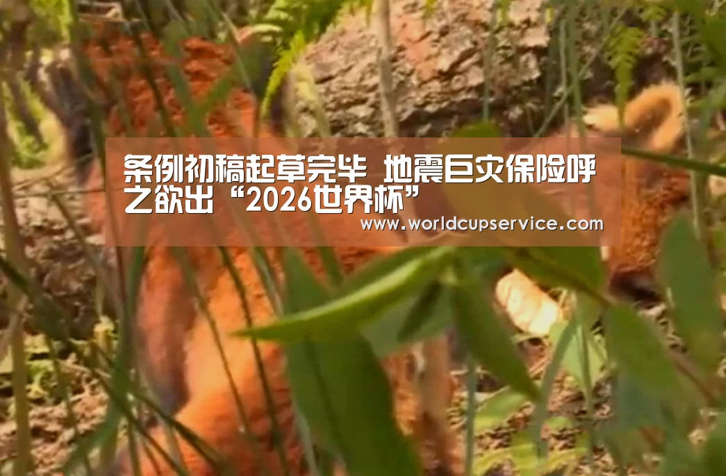 世界杯投注