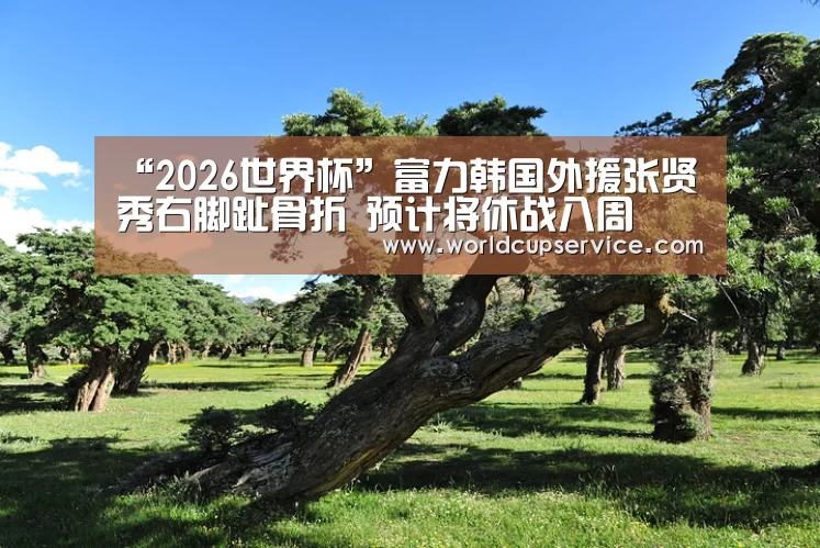 世界杯外围买球