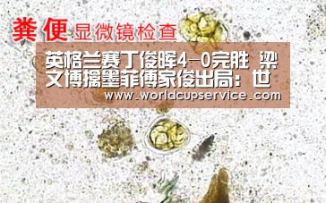 世界杯买球网站